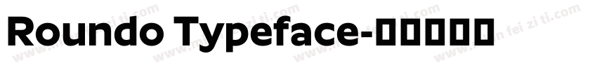 Roundo Typeface字体转换